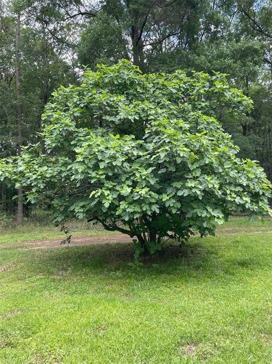 待售: $230,000 (2 贝兹, 1 浴室, 840 平方英尺)