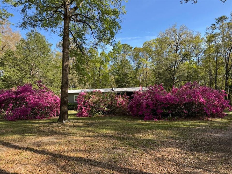 待售: $230,000 (2 贝兹, 1 浴室, 840 平方英尺)