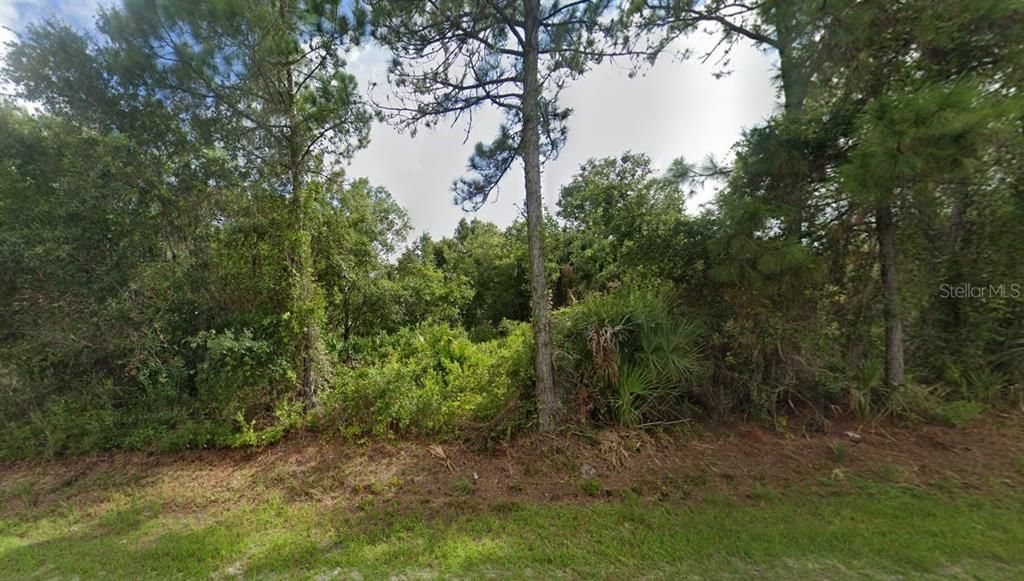 En Venta: $43,000 (0.45 acres)