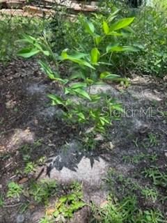 En Venta: $90,000 (0.22 acres)