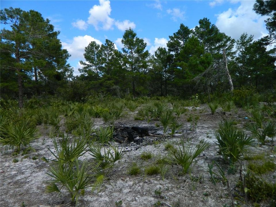 For Sale: $16,000 (0.18 acres)