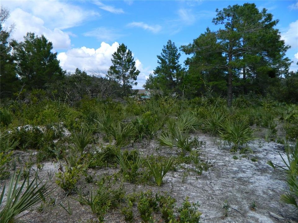 For Sale: $16,000 (0.18 acres)