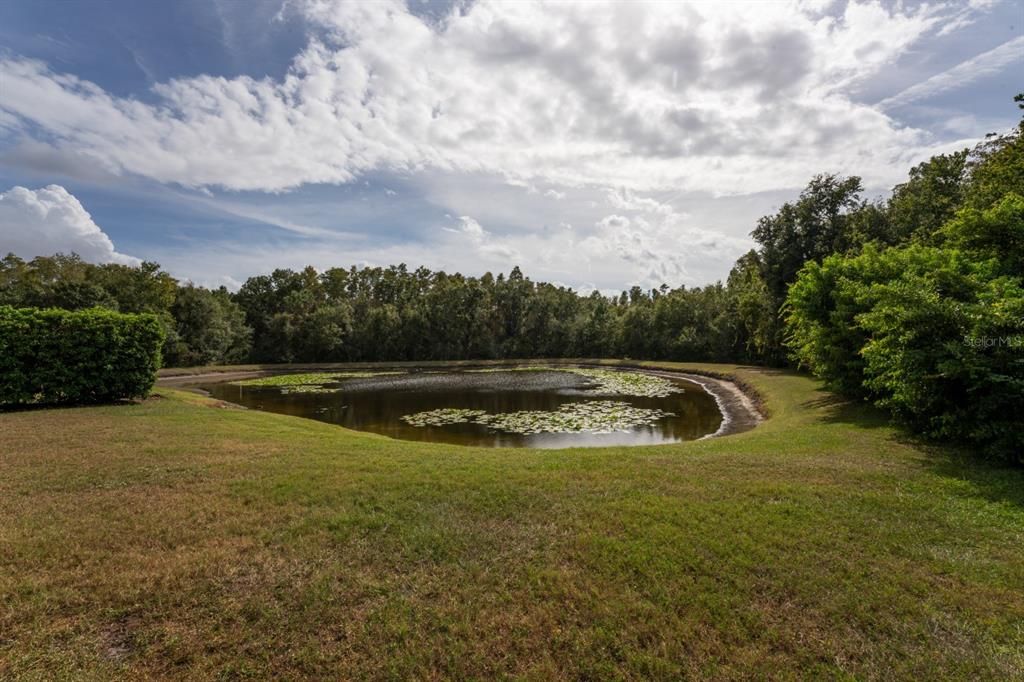 For Rent: $4,495 (4 beds, 3 baths, 3325 Square Feet)