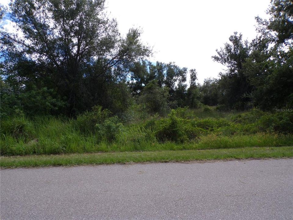 For Sale: $15,500 (0.22 acres)