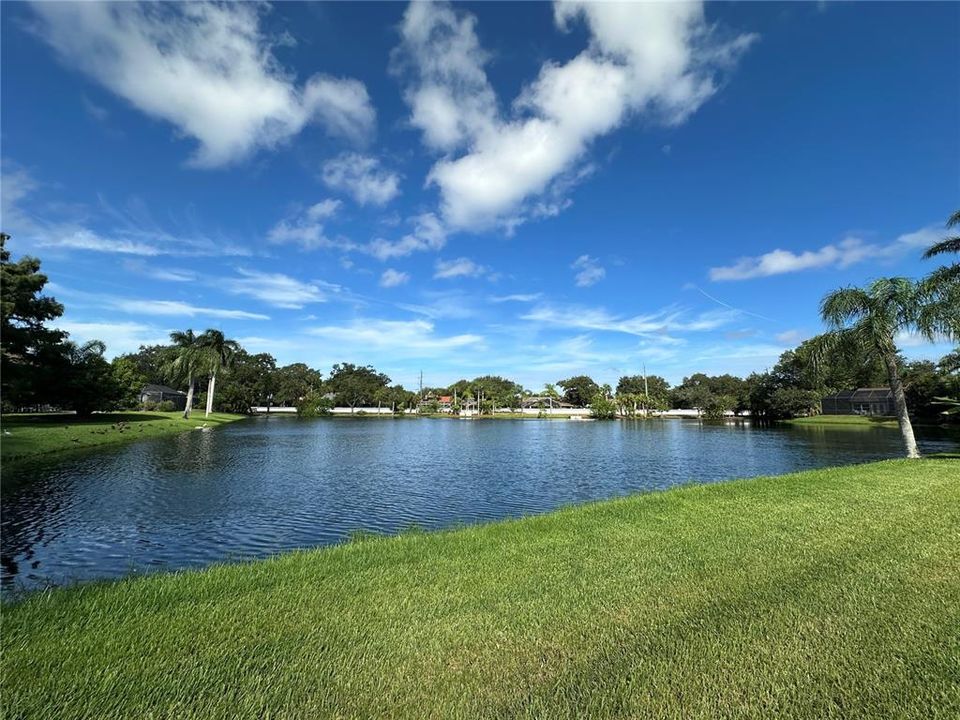 For Sale: $539,900 (3 beds, 2 baths, 2281 Square Feet)