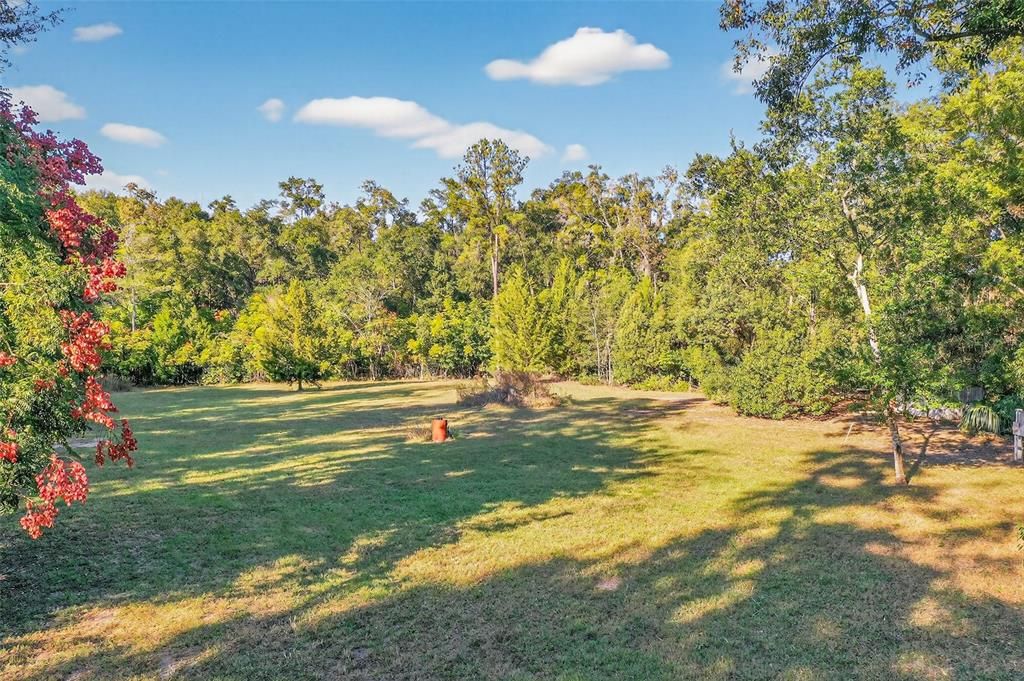 На продажу: $175,000 (1.59 acres)