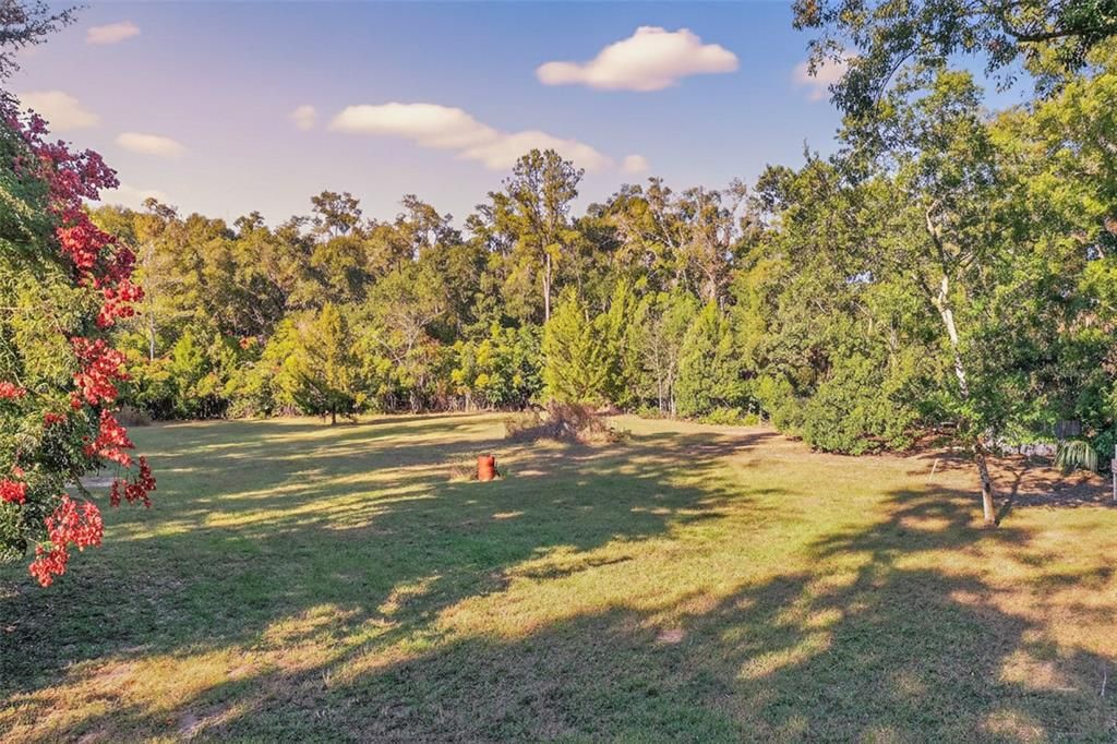 На продажу: $175,000 (1.59 acres)