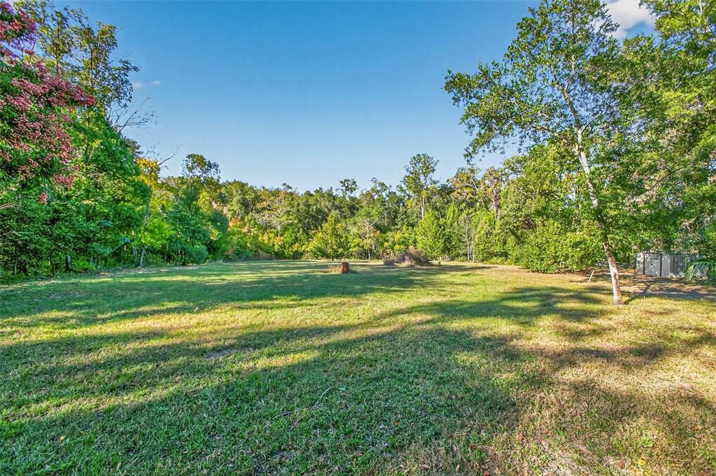 На продажу: $175,000 (1.59 acres)