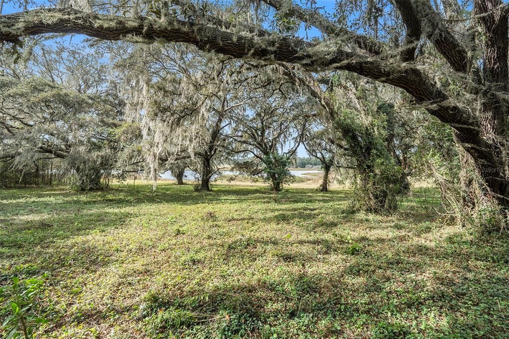 待售: $775,000 (22.50 acres)