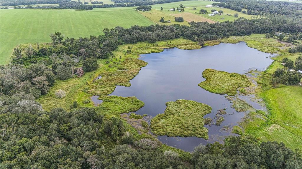 For Sale: $775,000 (22.50 acres)