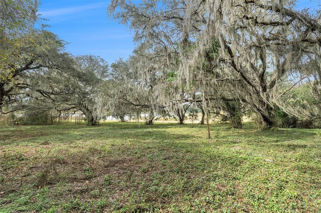 待售: $775,000 (22.50 acres)