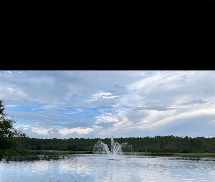 Activo con contrato: $2,800 (4 camas, 3 baños, 2231 Pies cuadrados)