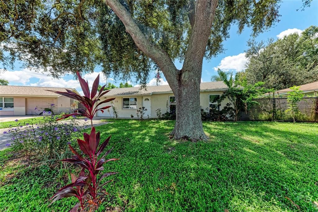 En Venta: $300,000 (3 camas, 1 baños, 1000 Pies cuadrados)