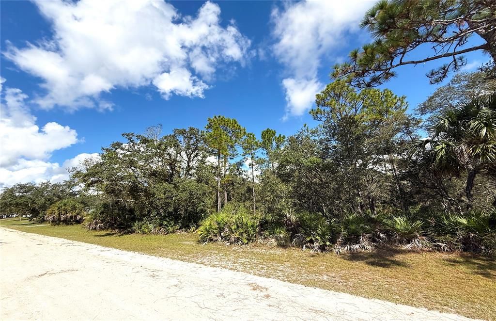 En Venta: $55,000 (1.16 acres)