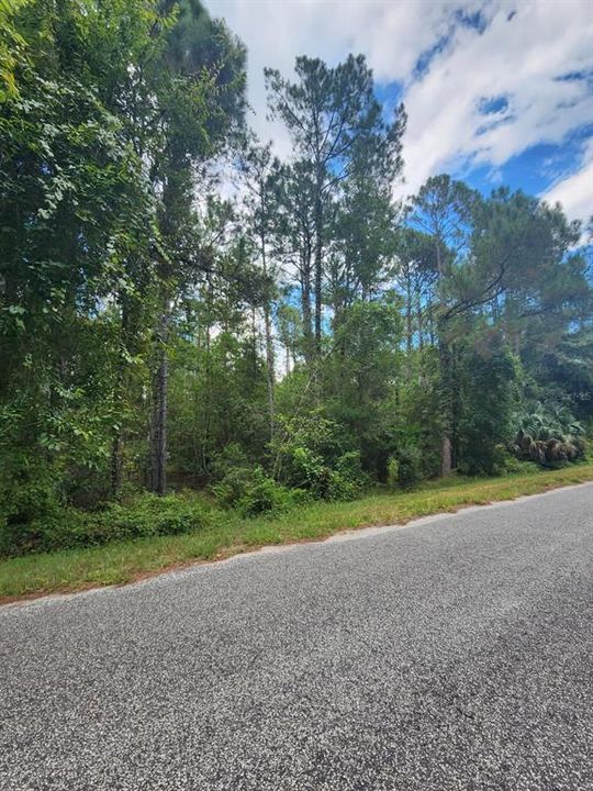 En Venta: $58,000 (1.00 acres)