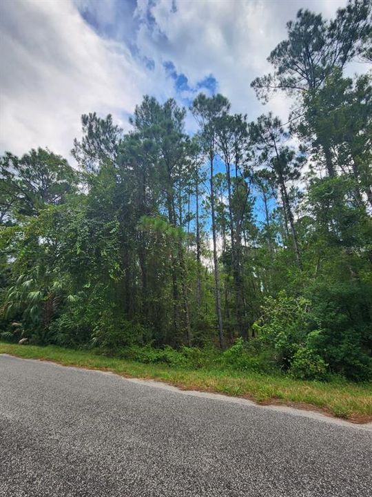 En Venta: $58,000 (1.00 acres)