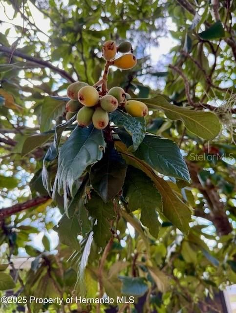 Под контрактом: $164,900 (2 спален, 2 ванн, 1152 Квадратных фут)