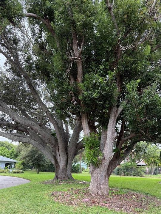 Под контрактом: $99,999 (1 спален, 1 ванн, 814 Квадратных фут)