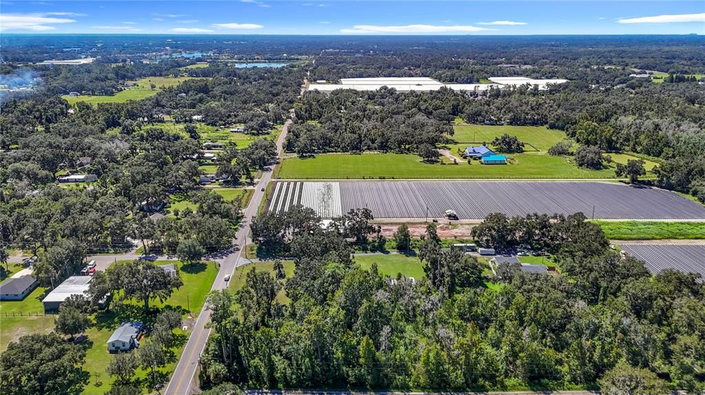 Activo con contrato: $129,900 (1.60 acres)