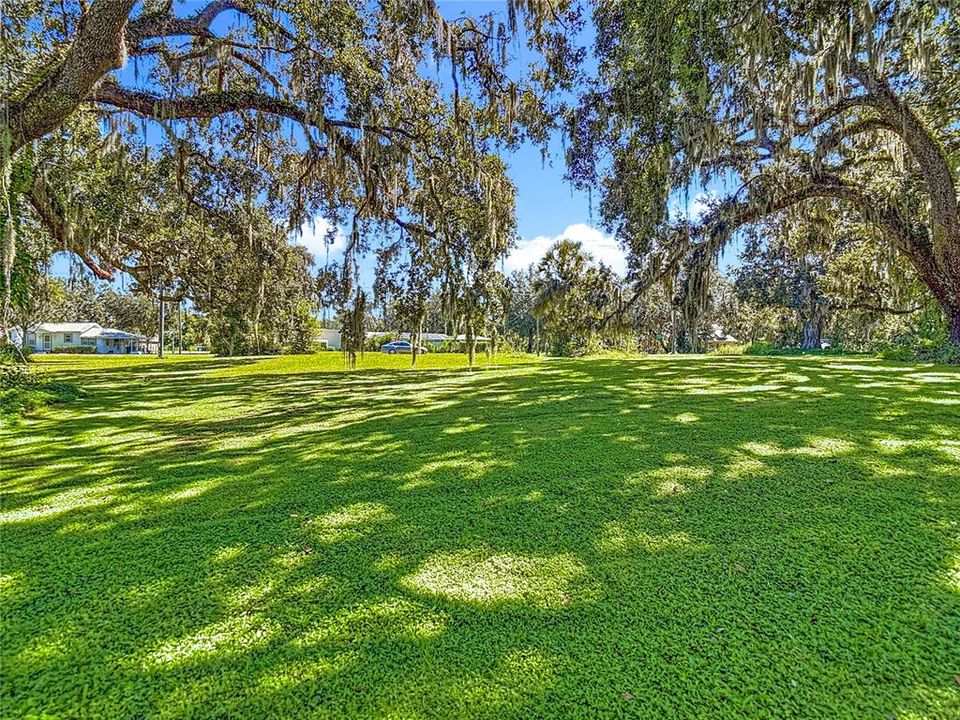 Activo con contrato: $129,900 (1.60 acres)