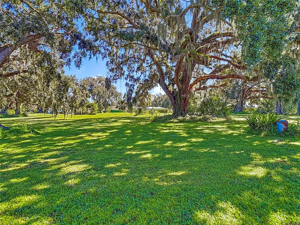 Activo con contrato: $129,900 (1.60 acres)