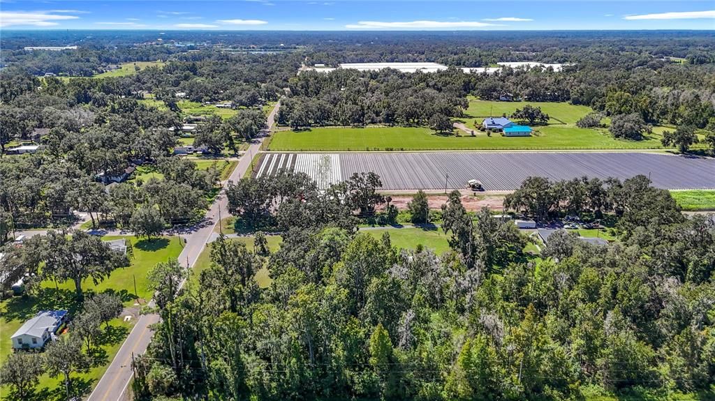 Activo con contrato: $129,900 (1.60 acres)