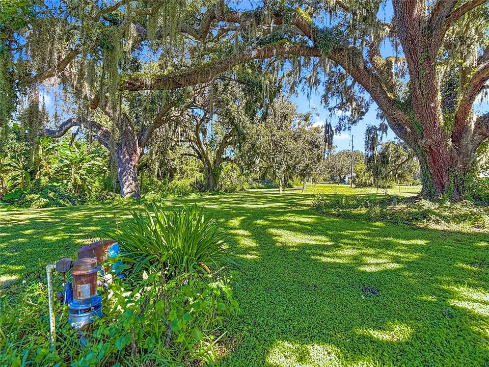 Activo con contrato: $129,900 (1.60 acres)