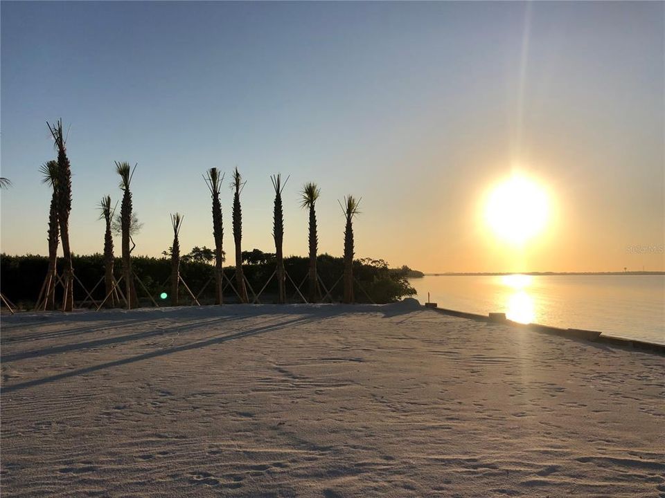 待售: $375,000 (0.34 acres)