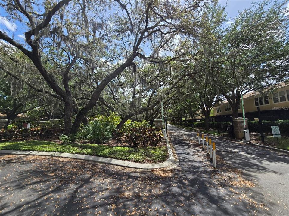 出租: $2,399 (3 贝兹, 2 浴室, 1665 平方英尺)