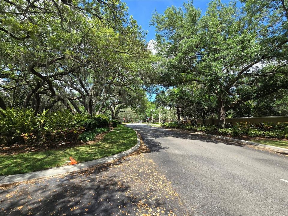 出租: $2,399 (3 贝兹, 2 浴室, 1665 平方英尺)