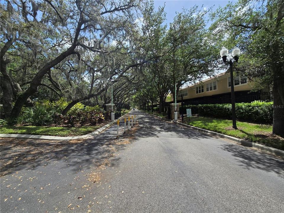 出租: $2,399 (3 贝兹, 2 浴室, 1665 平方英尺)