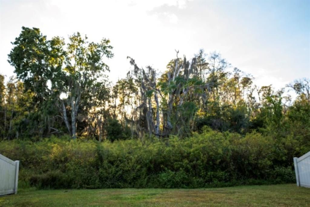 Active With Contract: $2,750 (5 beds, 3 baths, 2370 Square Feet)