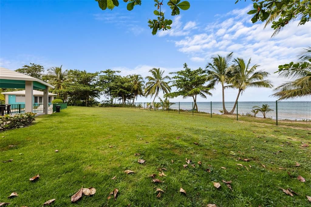 待售: $290,000 (1 贝兹, 1 浴室, 510 平方英尺)