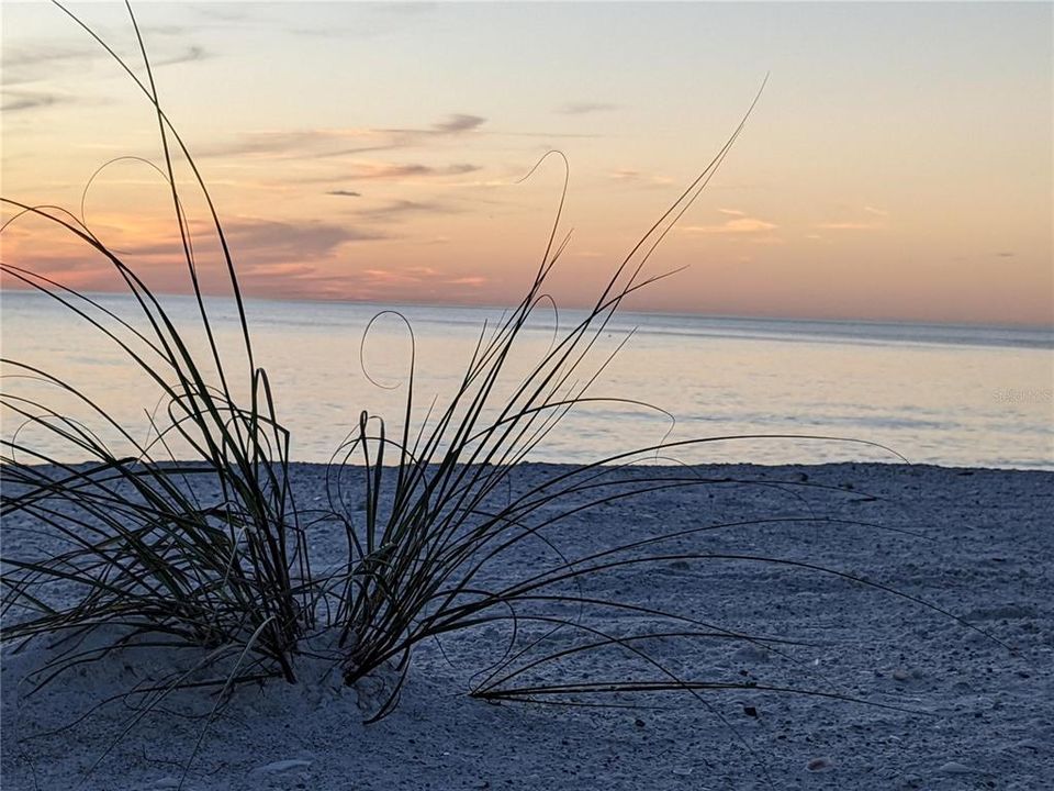 待售: $295,000 (1 贝兹, 1 浴室, 712 平方英尺)