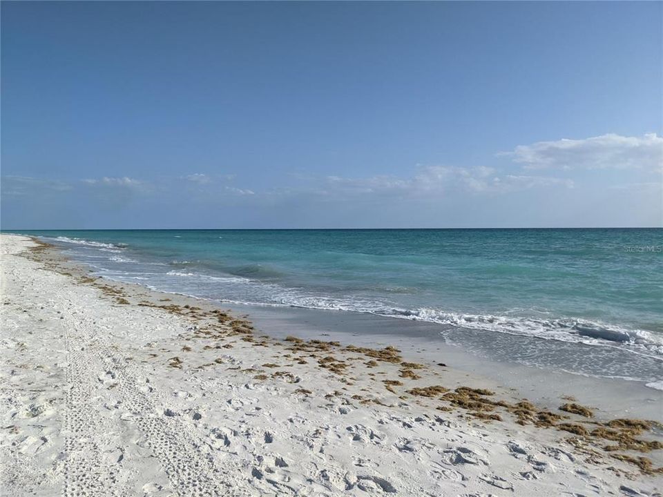 待售: $295,000 (1 贝兹, 1 浴室, 712 平方英尺)