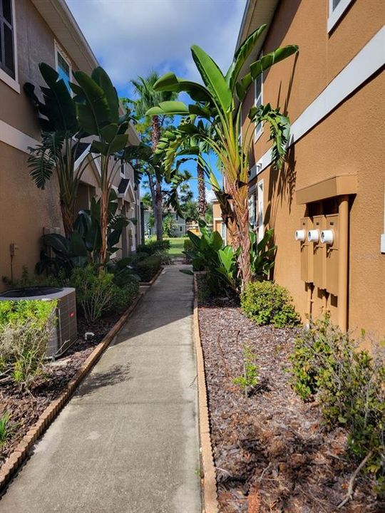 Activo con contrato: $3,200 (3 camas, 2 baños, 1776 Pies cuadrados)