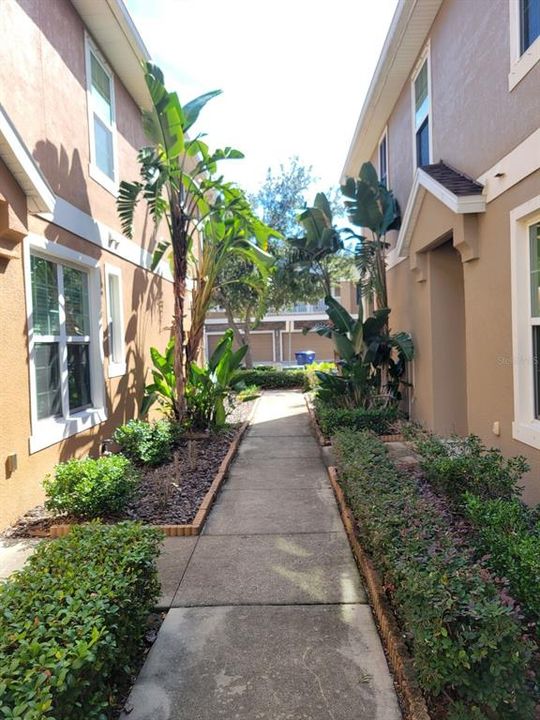 Activo con contrato: $3,200 (3 camas, 2 baños, 1776 Pies cuadrados)