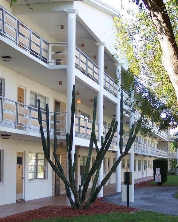 For Rent: $1,499 (1 beds, 1 baths, 636 Square Feet)