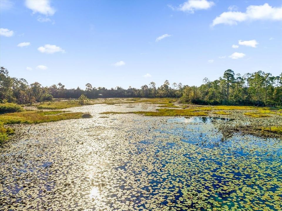 For Sale: $44,995 (2.50 acres)