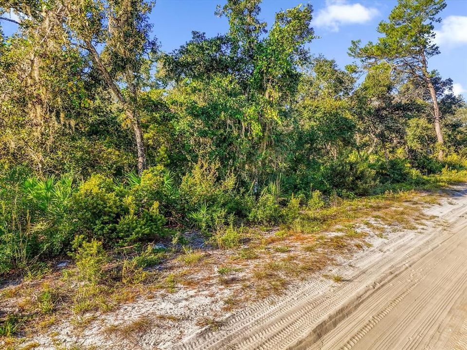 For Sale: $44,995 (2.50 acres)