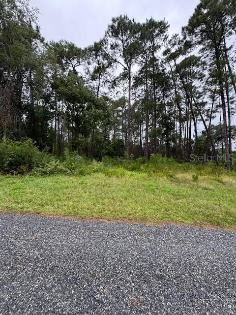 For Sale: $22,000 (0.26 acres)