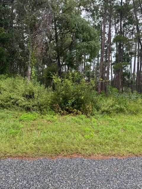 For Sale: $22,000 (0.26 acres)