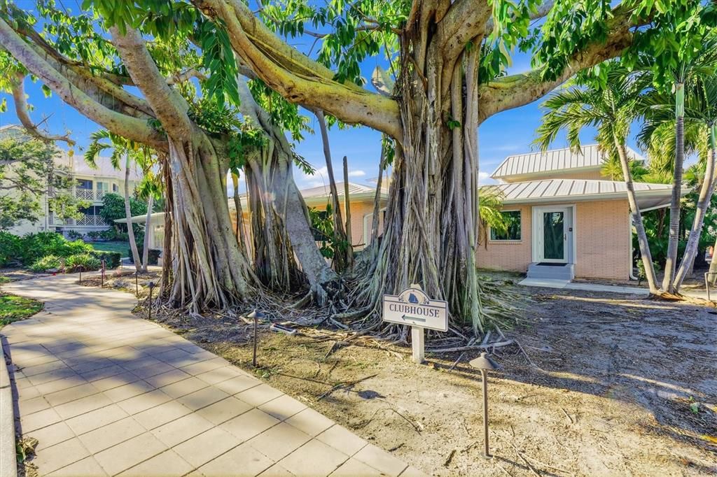 待售: $995,000 (3 贝兹, 3 浴室, 2085 平方英尺)