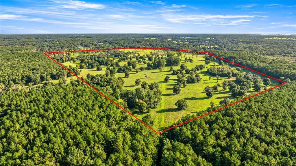 На продажу: $3,700,000 (200.90 acres)