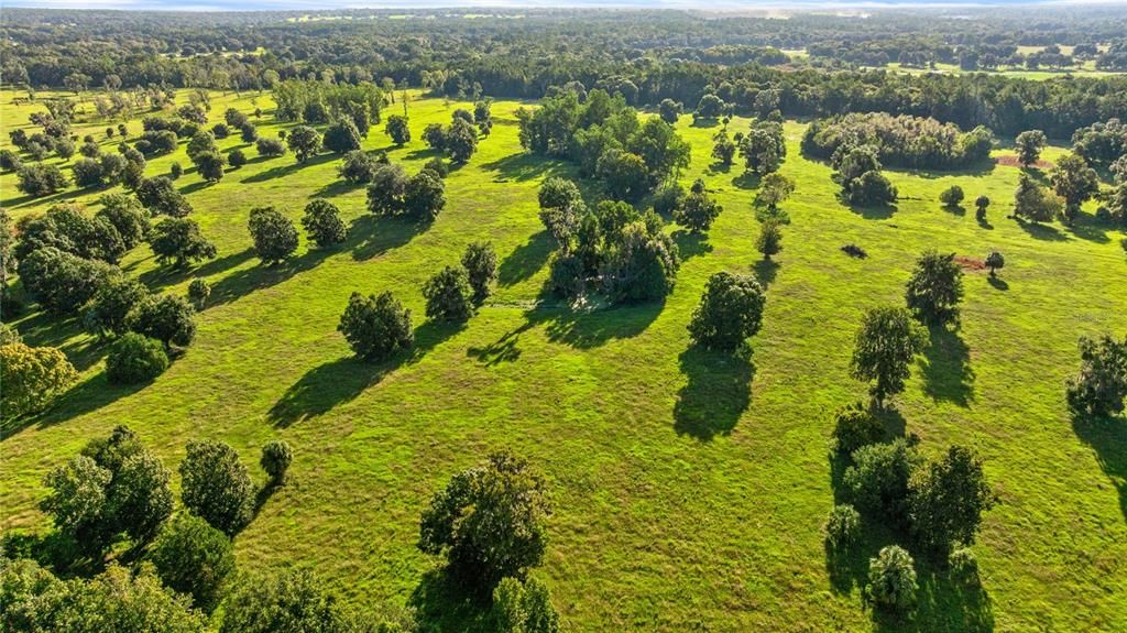 На продажу: $3,700,000 (200.90 acres)