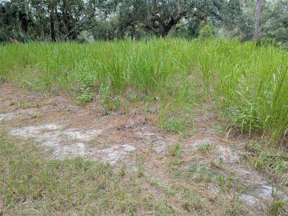 En Venta: $198,000 (3 camas, 2 baños, 864 Pies cuadrados)