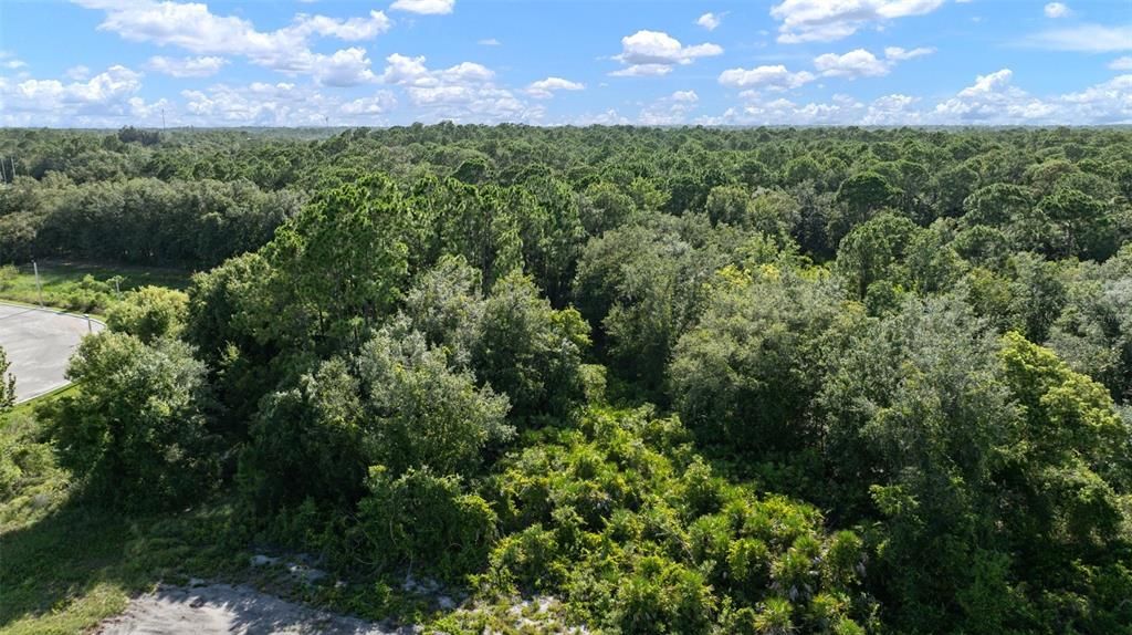 待售: $19,900 (0.48 acres)