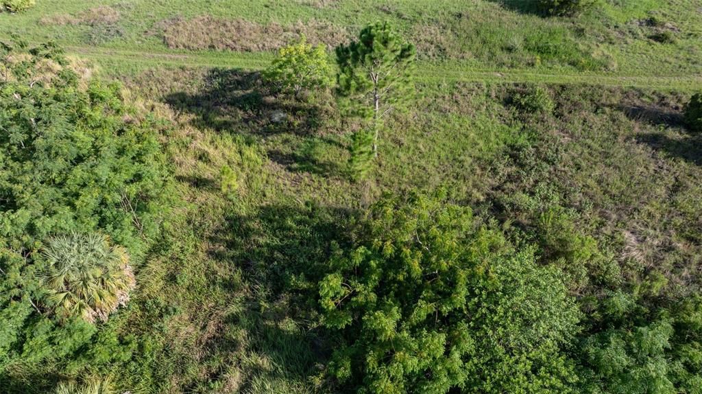 待售: $19,900 (0.48 acres)