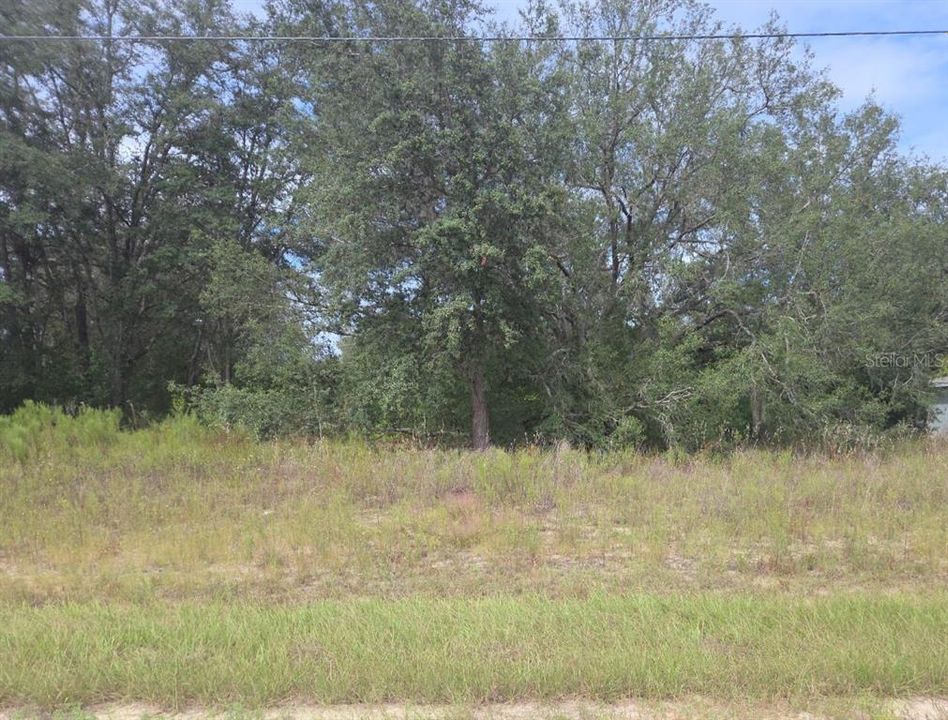 待售: $19,900 (0.23 acres)