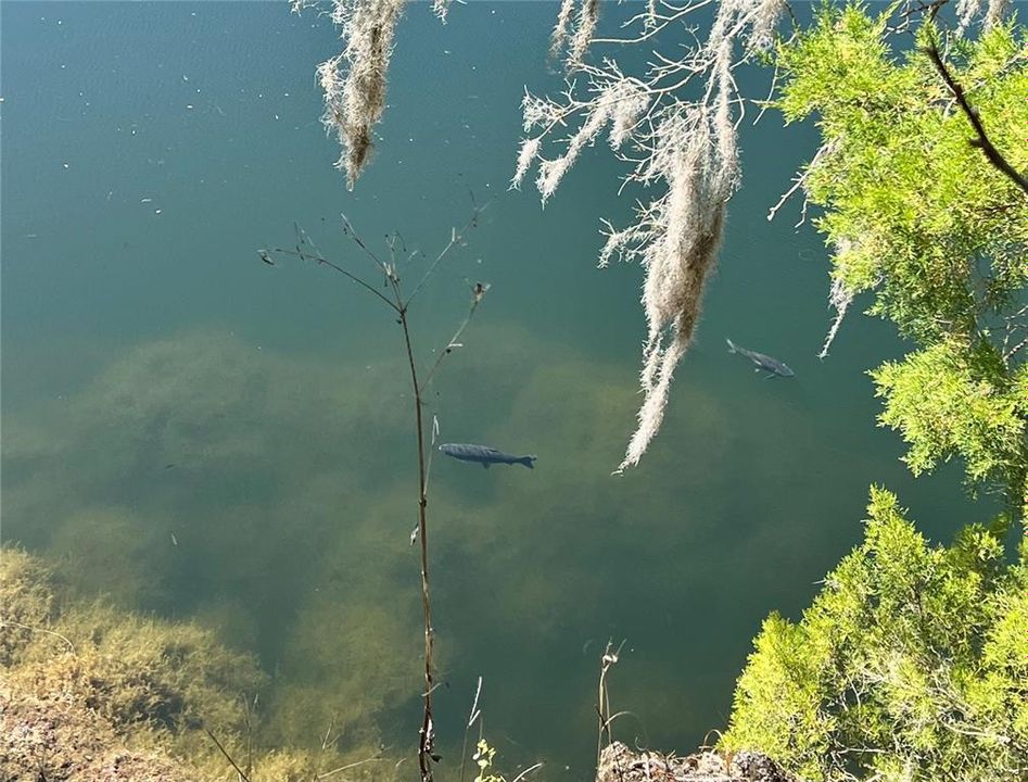 待售: $1,499,000 (4 贝兹, 3 浴室, 2502 平方英尺)